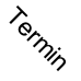 Termin